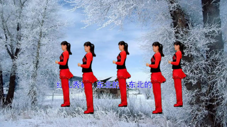 红儿最新32步豪情广场舞《东北的东东北的情