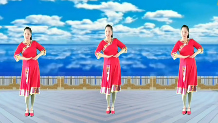 龙凤花仙子广场舞《美丽的黔东南》零基础苗