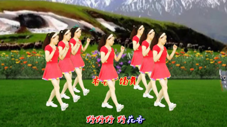 热门情歌广场舞《野花香》你的炽热我无法设
