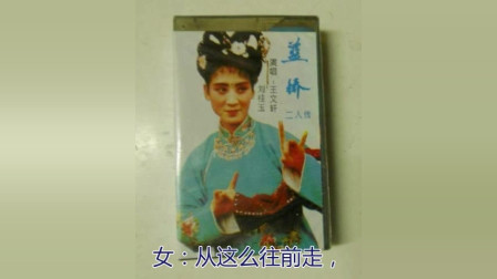 《蓝桥》王文轩 刘桂玉 老艺人二人转字幕版