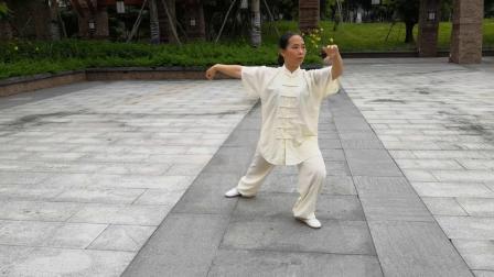 传统杨式太极拳85式