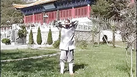 少林易筋经动功十二式