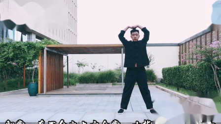 髓友汇易筋经视频教学第三式  金刚举鼎
