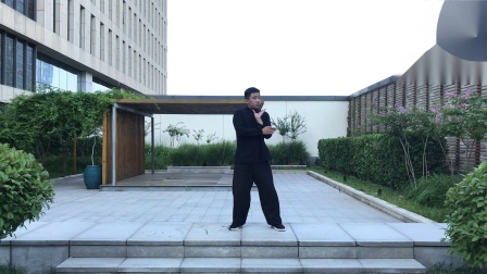 髓友汇易筋经十二式 教学视频