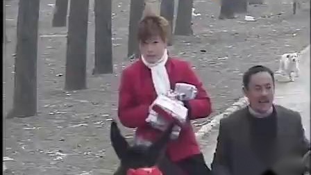 安徽民间小调《毛驴气死车》 主演 荆献顺 韩三下载