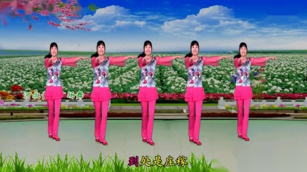 广场舞《南泥湾》48步附教学