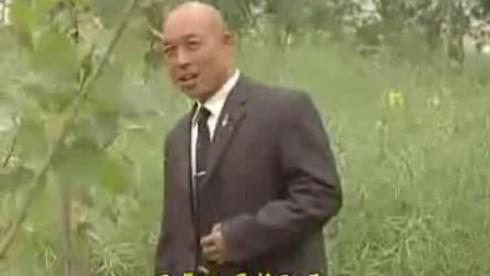 民间小调《儿媳跟着婆婆学》全集