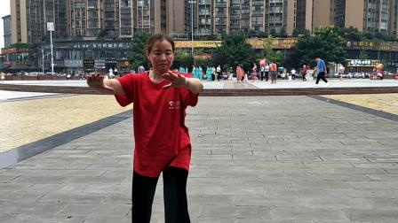 杨式85式太极拳演练