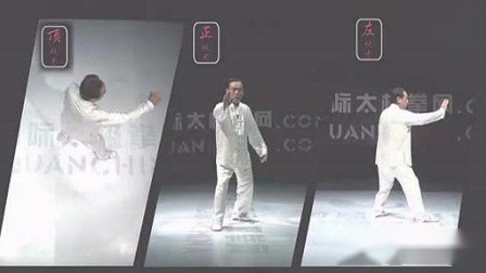 杨式太极拳 基本功法（赵幼斌）