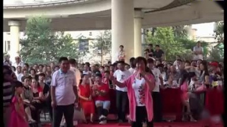太康道情《张廷秀私访》经典唱段 出京一折