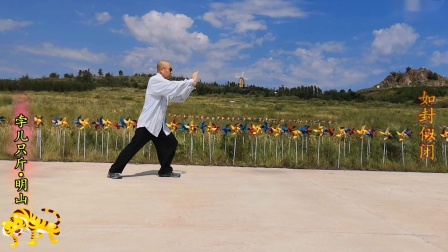 传统杨式太极拳28 势（正反）