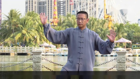 杨氏太极拳套路演练