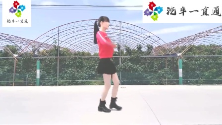 简单8步广场舞《如果就这么老了》辣妈独跳下载