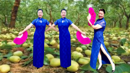 辣妈炫舞广场舞《红枣树》流行旗袍扇子舞