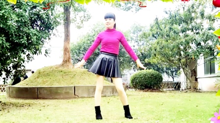 广场舞《迪斯科》DJ舞曲 节奏感很好