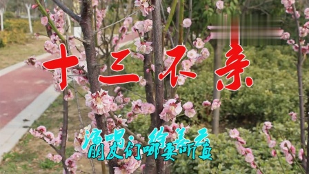 徐善云民间小调《十三不亲》真情流露 唱的太现实了下载