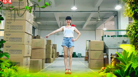 迪斯科广场舞《花花宇宙dj》先分解再演示 编舞希帆下载