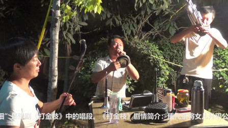 唢呐大神呐子吹豫剧《打金枝》潇洒自如 这