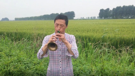 唢呐演奏歌曲《惜别的海岸》勾起无数往事 