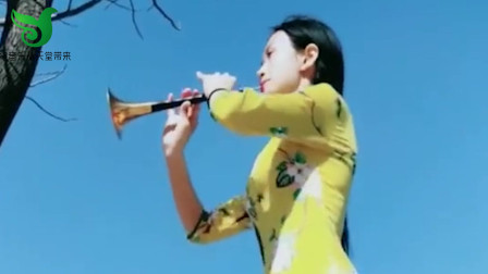 美女唢呐演奏《山不转水转》人美曲美 地道