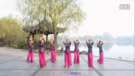 张春丽广场舞《花好月圆》编舞廖弟下载