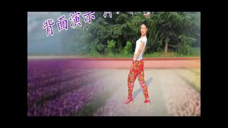 美久广场舞《 东北东北》 背面教学分解
