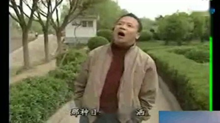 008安徽民间小调《花心的悲剧》刘晓燕主演