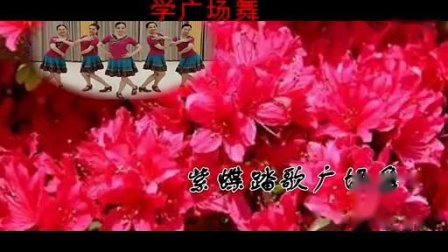紫蝶踏歌原创学广场舞 《歌名杜鹃花开》 编舞紫蝶 正反背面动作 附 口令分解教学下载