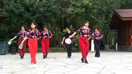 茉莉广场舞《江南情》下载