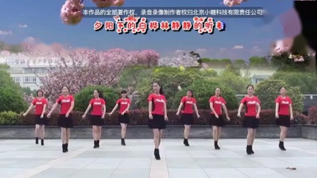 茉莉广场舞《布尔津情歌》下载