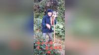 沭阳民间小调《大实话》