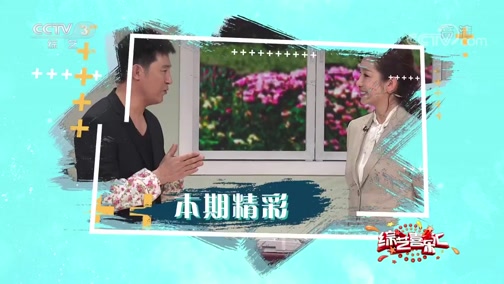 《综艺喜乐汇》 20190908 你的快乐你做主下载