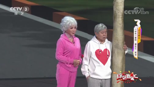 《综艺喜乐汇》 20190901 温暖情怀下载