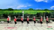 春英广场舞《油菜花开》简单广场舞