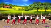 春英广场舞《健康走出来》附分解教学