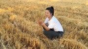 一首民间小调《寡妇难》句句扎心 听哭多少