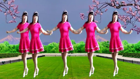 广场舞《瞅不够的妹妹》简单好学教学高清视