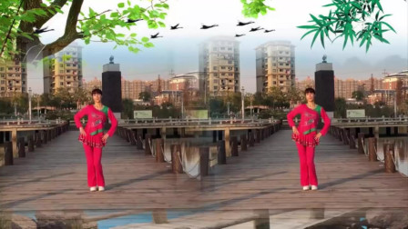 云裳广场舞《独爱一枝花》沚水老师原创欢快