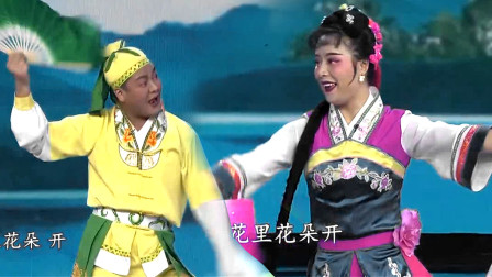 赣南采茶戏《睄妹子》片断 表演 崔英兰 黎