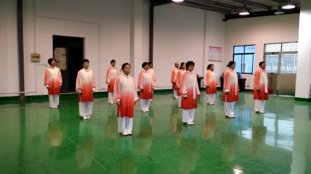集体演练《42式太极拳》高清视频mp4免费下
