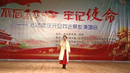 扬剧《罗帕记》《回娘家》  张丽萍 演唱 戏