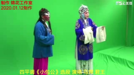 四平调《小包公》选段 实力派演员 马萍君王