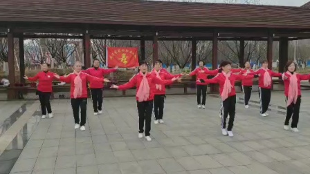 王广成广场舞《天南地唱中华》教学视频基础