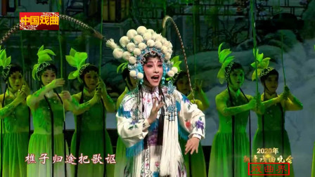 川剧《别洞观景》唱段 表演 沈铁梅 重庆市