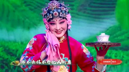 黄梅戏《送香茶》名家程丞演唱  戏曲名段高