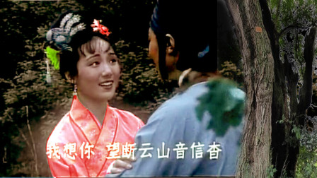 黄梅戏《孟姜女》选段《成婚未饮交杯酒》演