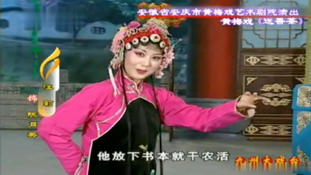 黄梅戏《送香茶》选段 名家汪莉演唱  戏曲