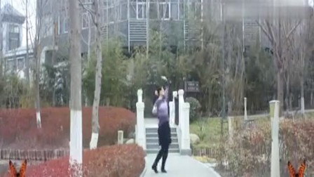 青儿广场舞 《等你等了那么久》 背面演示 