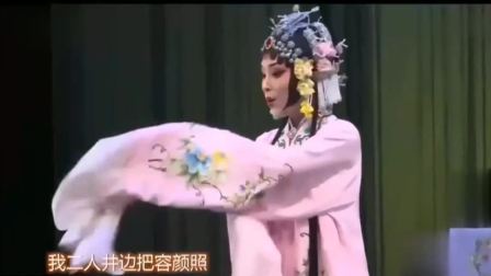 汨罗花鼓戏《山伯访友》主演 罗勇 张丹 刘哲 董芳 高清mp4视频免费下载下载