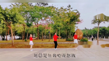 云裳广场舞《野花香》教学高清视频免费下载